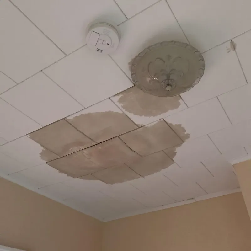 Ceiling Water Damage Repair in Crystal City, TX