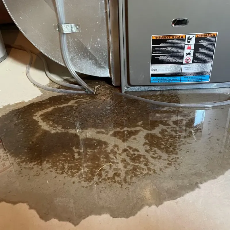 Pipe Burst and Leak Restoration in Crystal City, TX