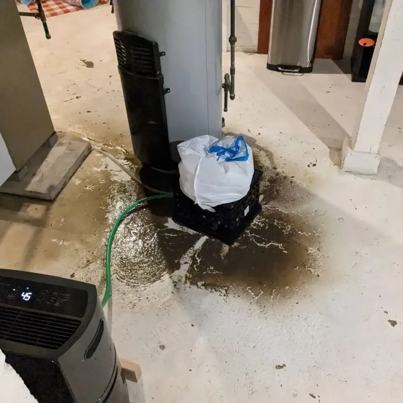 Sewage Backup Cleanup Service in Crystal City, TX